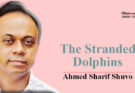The Stranded Dolphins By Ahmed Sharif Shuvo